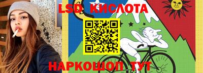 спайс Будённовск