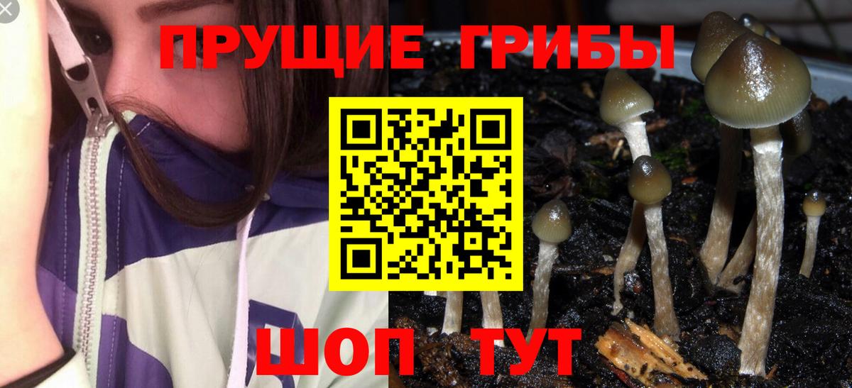 Галлюциногенные грибы мицелий Лосино-Петровский